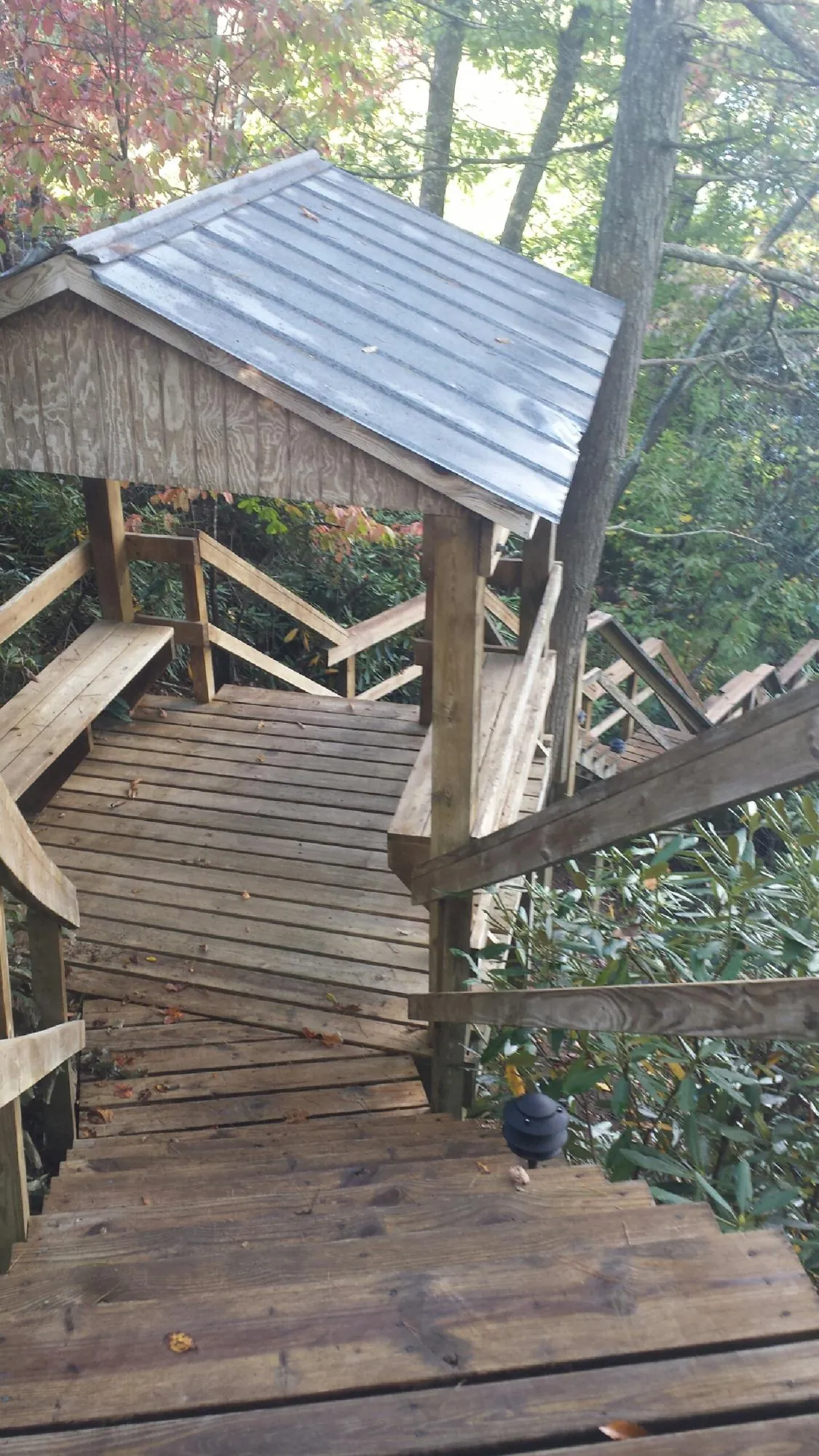 Metal roofed shelter over wooden steps on a wooded walkway — Skylight Repair & Installation work by our crew in Rewey