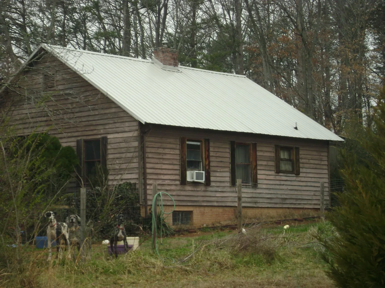White metal roof on an old wood sided farmhouse, from a Asphalt Shingle Roof Repair job in Rewey